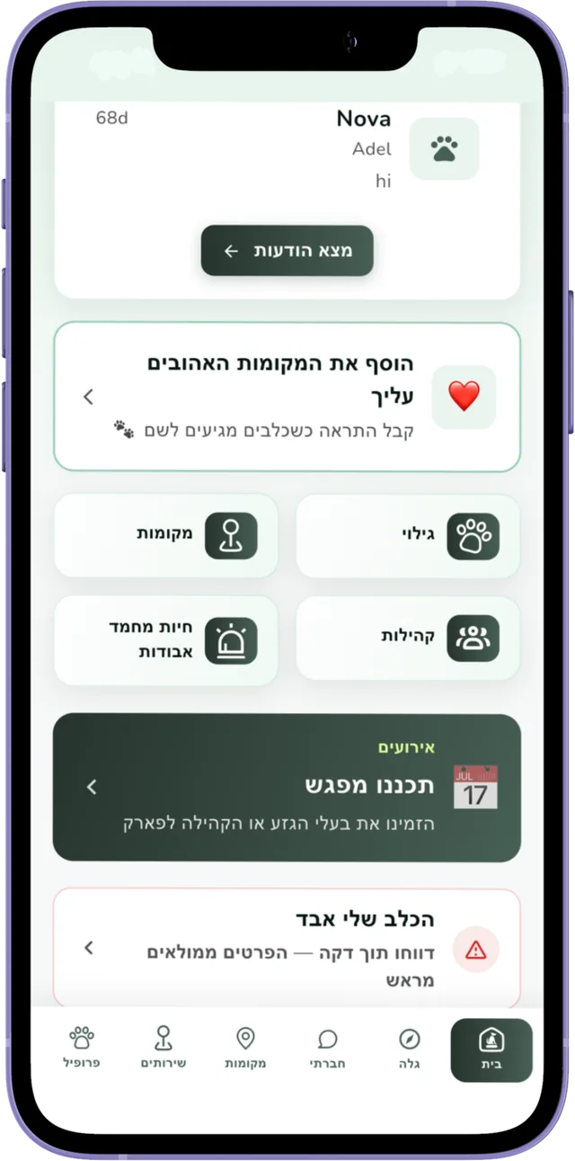 אירועים וכפתור כלב אבוד במסך הבית